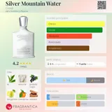 Card image for Silver Mountain Water