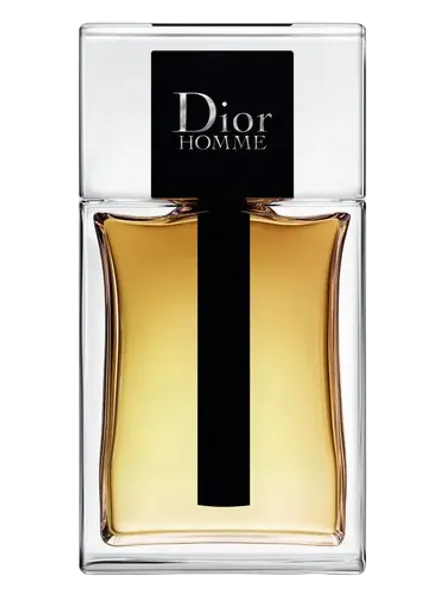 Dior Homme
