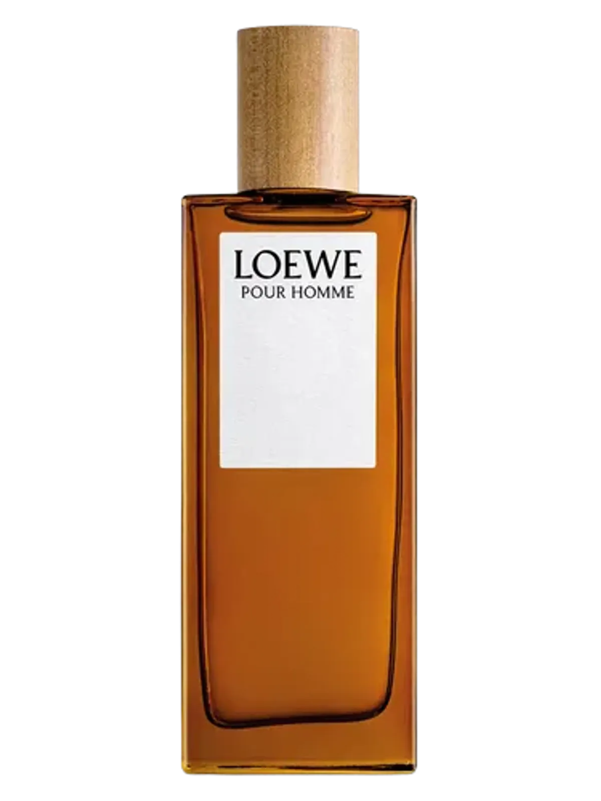Loewe pour homme