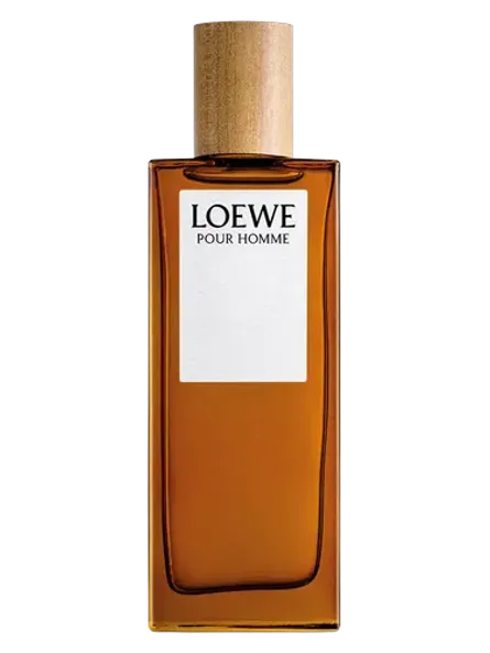 Loewe pour homme