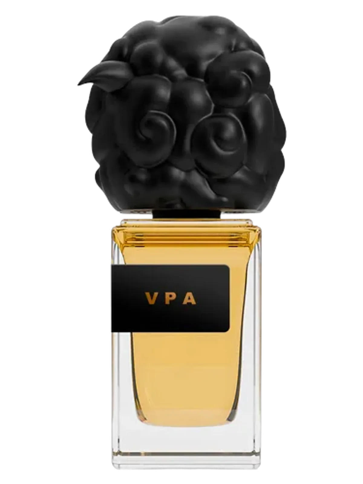 VPA (Vegeta) [extrait]